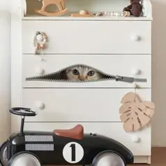 ウォールステッカー ②【ジッパーから覗く可愛い猫】 装飾 猫好き 面白い 動物