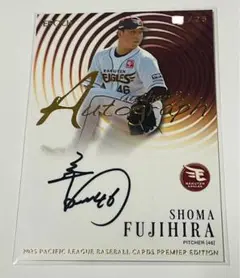 Item thumbnail for item 579f4281-854c-4c7c-ae2e-eb1d4d1eb943