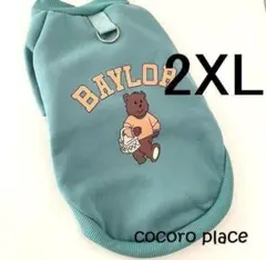 Item thumbnail for item 87d930a1-e457-4b2b-ad5a-7d0271a4bc40