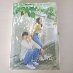 その年、私たちは　ost