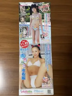 ジュニアアイドルDVDニューリリース用パンフレット5枚です。美品です。