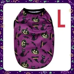 Item thumbnail for item 22023ffe-69cc-4ca3-b888-8a48afb2dd21
