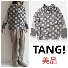 【美品】TANG! エクストラファインメリノウール ドット切替ニットプルオーバー