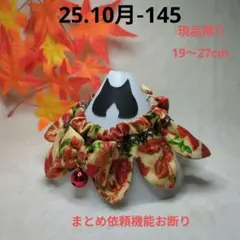 Item thumbnail for item 8b1fe73e-fbb5-46ba-b20f-bf6eed4091fa