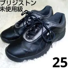 Item thumbnail for item e0d9bcd4-5bc2-482b-b078-c3306120c03f