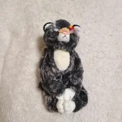 CUTE　イリオモテヤマネコ　ぬいぐるみ