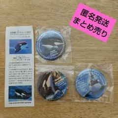 Item thumbnail for item 38bb0d67-14c5-4073-aab7-be2d80c3d352