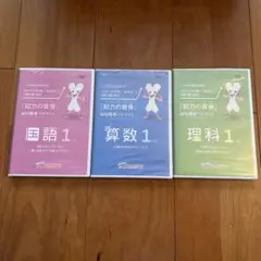 【難関中学受験用『知力の背骨』メンバー限定】 国語 特訓教材全12か月分セット 難関中学受験用『知力の背骨』メンバー限定】 国語 特訓教材全12か月