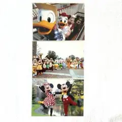 ディズニー　イマジニングザマジック　実写　ブロマイド　写真3枚セット