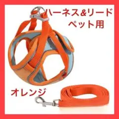 Item thumbnail for item 221b3705-05c7-4a22-aedc-83c6fedf5259