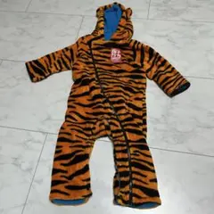 Item thumbnail for item b2a872db-590f-4328-b269-a845b82d452b