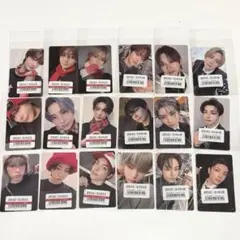&TEAM 月狼 トレカ スプサ ユニバ コンプ 18枚セット