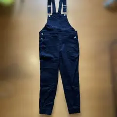 Item thumbnail for item 17e0508b-57ba-43fe-94a2-fa4e73f333f6