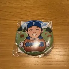 (即購入OK)柳川大晟