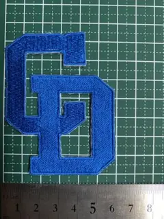 アイロンワッペン ドラゴンズ 刺繍