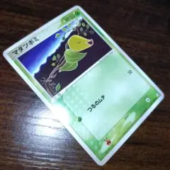 マダツボミ　ポケモンカード425