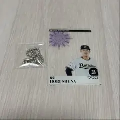 堀柊那　アクキー