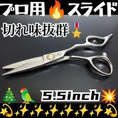 Item thumbnail for item 934782e9-cebc-442c-8ddb-92b1b1d91cfb
