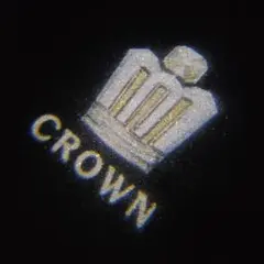 ✨圧倒的存在感✨ クラウン CROWNロゴ カーテシランプ 2個