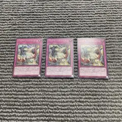 ドラグマ・パニッシュメント　3枚