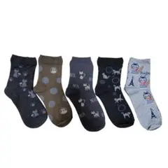 ♥本日限定価格♥ねこ　レディース　くつした　まとめ売り