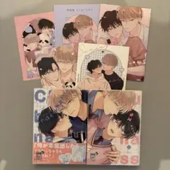 ちぐはぐなキス 末広マチ 通常版 特装版 特典 リーフレット 小冊子 セット