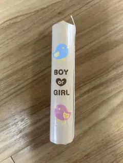 BOY OR GIRL 性別アイテム