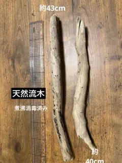 Item thumbnail for item 23ebf829-43a5-4ede-8820-bff207b2c847