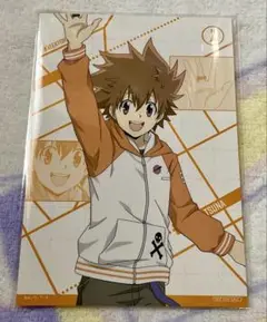 家庭教師ヒットマンREBORN ! 　特典ブロマイド　沢田綱吉