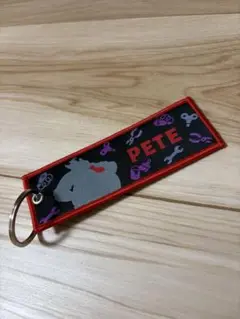 ドリームステイクフライト　ディズニー　シークレットチャーム　ピート