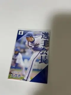 【匿名配送】プロ野球チップス 大貫晋一 横浜DeNAベイスターズ
