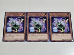 パペットプラント　字レア　DE