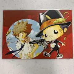 家庭教師ヒットマンREBORN! 沢田綱吉 ポストカード 原作 当時品