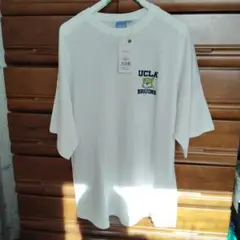 UCLA Bruins ホワイト Tシャツ Lサイズ