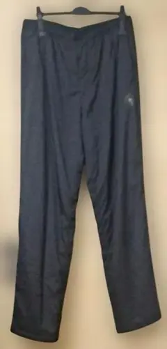 Item thumbnail for item 8ddf6149-0220-4272-a6d9-b703660951e9