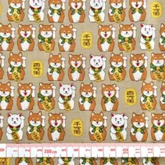 招き柴犬　スケア　ベージュ　約108×50cm