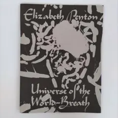 Elizabeth Peyton、Arsenal、希少画集画、新品額装付 Amazon | Elizabeth Peyton | Peyton, Elizabeth | History