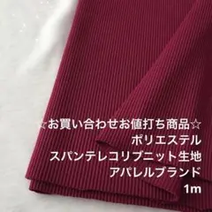 R2L/7961-10☆1m お買い合わせ/ポリスパンテレコリブニット生地