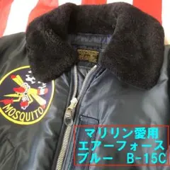 BUZZ RIC バズリクソンズ モスキート 刺繍ワッペン B-15D 38 2025年最新】モスキート ワッペンの人気アイテム - メルカリ