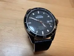 Item thumbnail for item 3e86d729-fa2a-49fa-84bc-c6281eb8032d