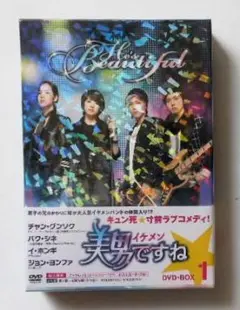 新品未開封＊美男(イケメン)ですね DVD-BOX1＊韓国ドラマ