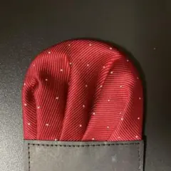 Item thumbnail for item 565a8494-e7bd-4e63-a495-feacf1bd58c2