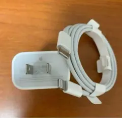 Apple純正20W USB-C電源アダプタ + Lightningケーブル