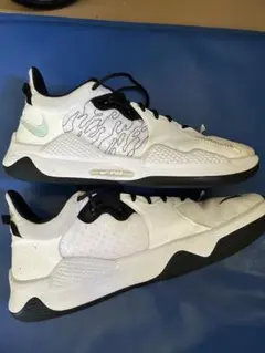 Nike pg5