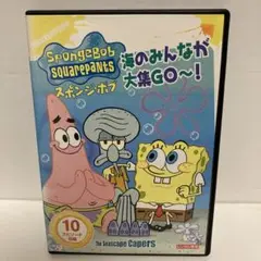 スポンジ・ボブ 海のみんなが大集GO~! 本編123分 DVD アニメ キッズ