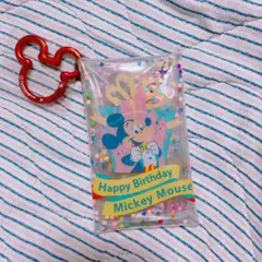 ディズニーリゾート ミッキー カラビナケース 新品未使用