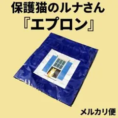 Item thumbnail for item 02973a73-695c-4b21-94e6-cf7a1a3791b7