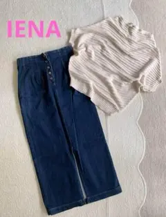 激レア♦︎極美品IENA イエナ　サマーニットプルオーバードルマンスリーブゆったり