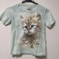 THE MOUNTAIN ザマウンテン 猫 キッズ 半袖 Tシャツ　S