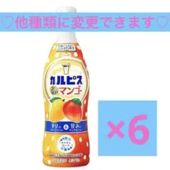カルピス こだわりのマンゴー 希釈用原液 6本